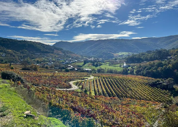 Casa Catalina - Ribeira Sacra