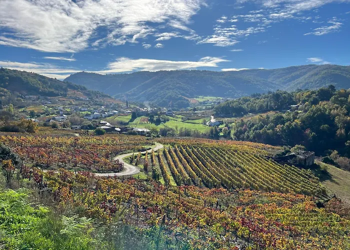 Casa Catalina - Ribeira Sacra