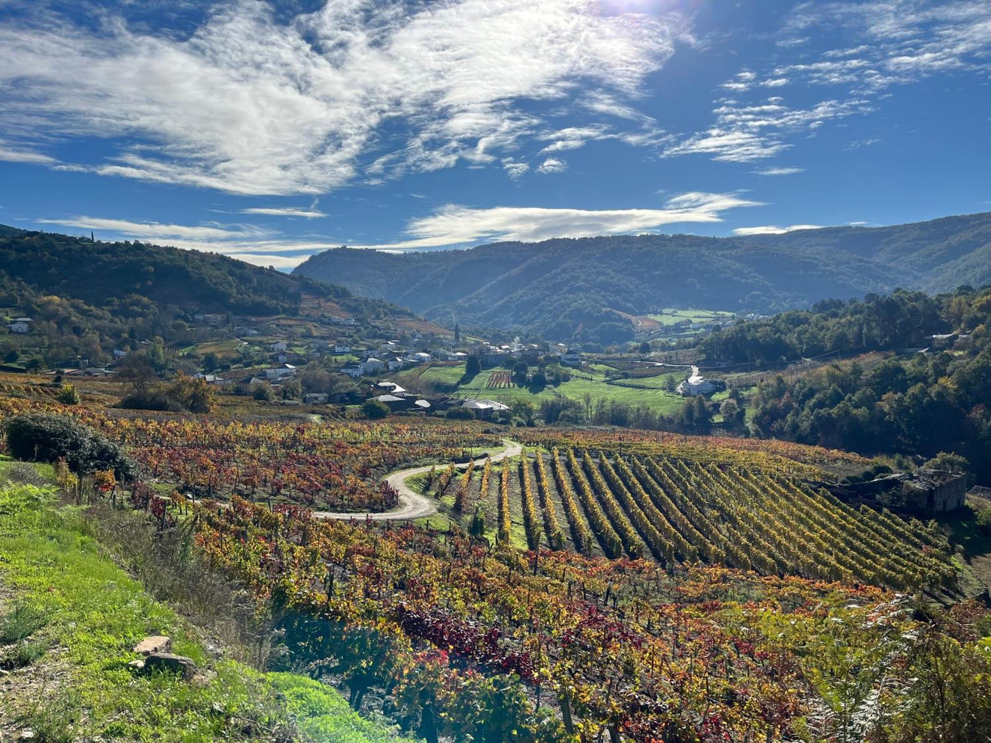 Casa Catalina - Ribeira Sacra * Abeleda