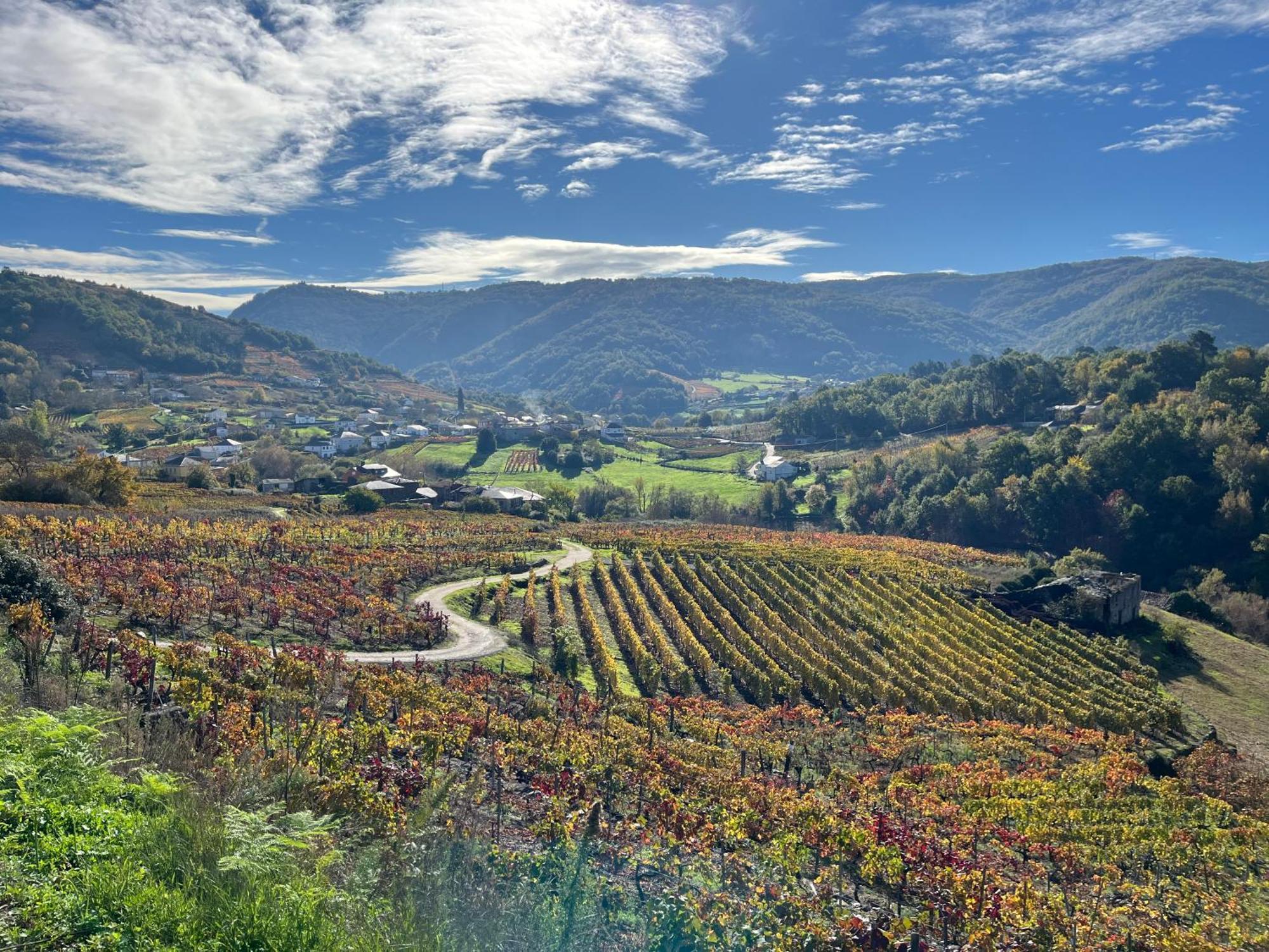 Casa Catalina - Ribeira Sacra Dom wakacyjny